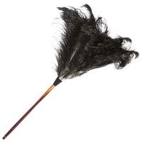 Heritage Ostrich Feather Duster 35cm [Size: 35cm]