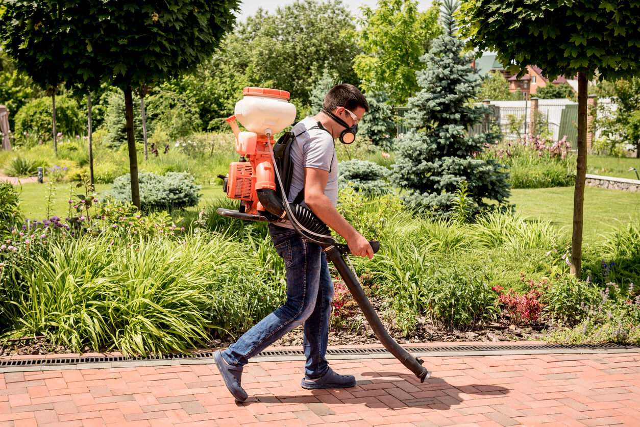A Buyer's Guide to Backpack Vacuum Cleaners