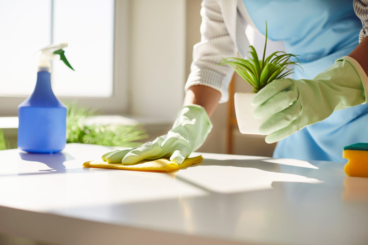 Cleaning for Allergy Sufferers to Reduce Indoor Allergens
