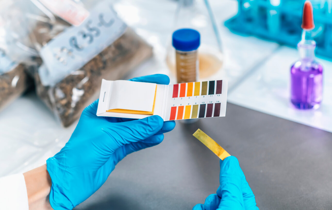 Understanding pH Levels and Their Importance: The Science Behind Cleaning