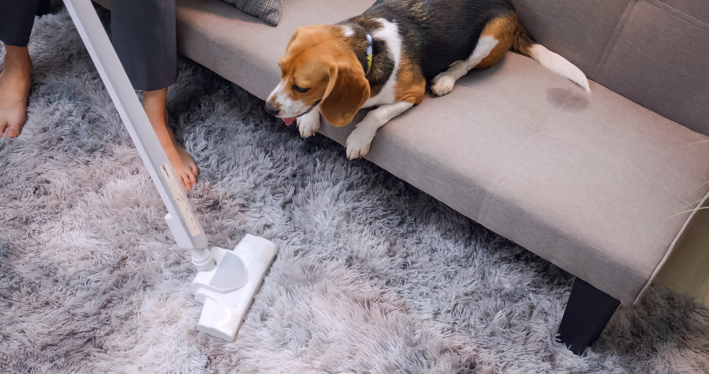 Pet-Friendly Cleaning: Maintaining Clean Homes with Furry Friends